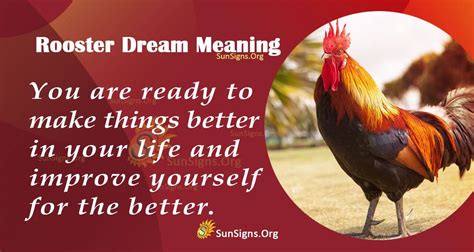 The Symbolic Significance of an Assertive Rooster Pursuing You in a Dream