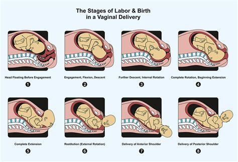 The Symbolism of Delivering a Child in an Automobile