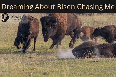 The Symbolism of Dreaming About the Mighty Bison