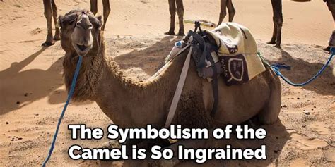 The Symbolism of Dromedaries in Dreamscapes