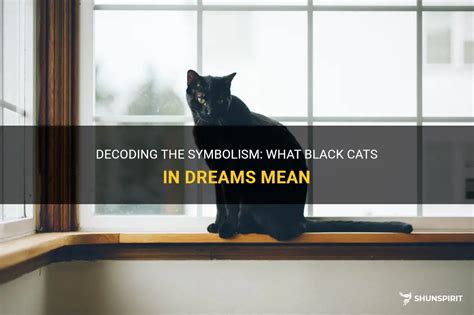 The Symbolism of Felines in Dreams: Decoding the Secrets Behind