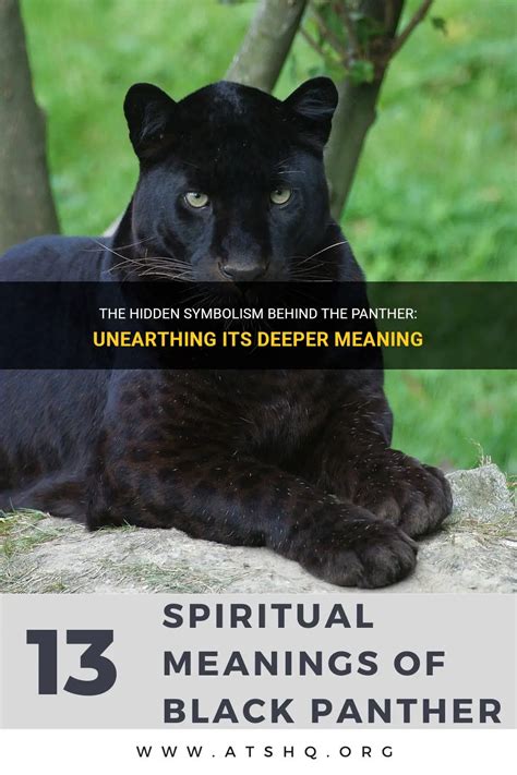 The Symbolism of a Panther: Exploring the Meaning Through Dream Interpretation