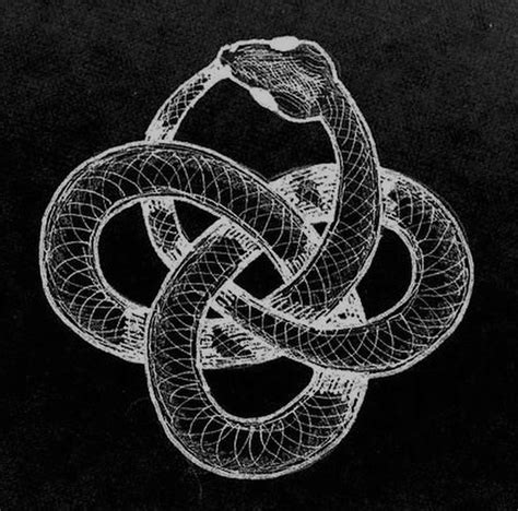 The Symbolism of a Serpent Taking Hold of Its Tail: An Intriguing Interpretation