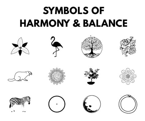 The Synchronization of Symbols: The Harmony between Infant and Feline in the Vision