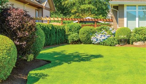 The Therapeutic Effects of Spending Time on a Fresh Green Lawn