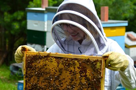 The Thrill of Bee Tourism: Embracing Adventure at Apiaries and Honey Farms