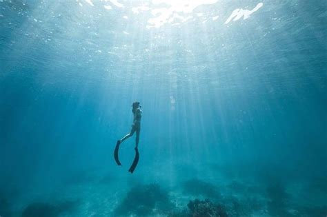 The Tranquility and Tranquility of Underwater Photography