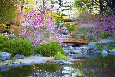 The Tranquility of Japanese Gardens: Discovering Harmony in the Beauty of Nature