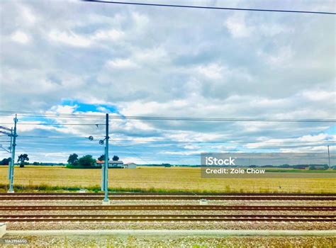 The Tranquility of Railway Tracks: Discovering Peace in the Arms of Nature