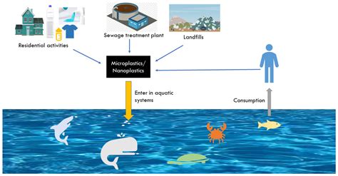 The Transformative Potential of Dreams about Aquatic Environments