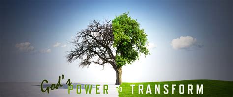 The Transformative Power of the Natural World