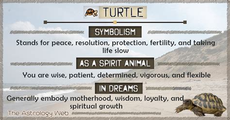 The Turtle: Exploring Its Symbolism in Various Cultures