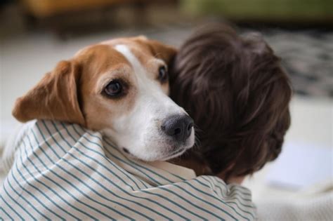 The Ultimate Present: Embrace the Happiness of Receiving a Canine Companion