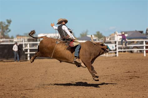 The Ultimate Test: Understanding the Challenges of Rodeo Bull Riding