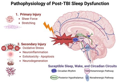 The Underlying Psychological Factors of Dreaming About Ebony Stream Fluid