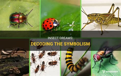 The Unexpected Symbolism: Decoding Majestic Crimson Insect Dreams through Psychology