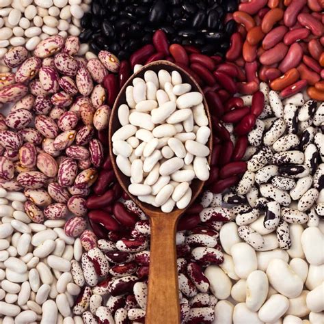 The Versatility of Beans: Exploring Different Types and Flavors