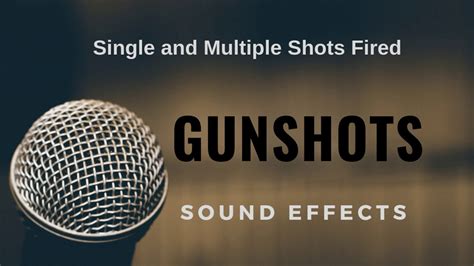 The Vivid Image: The Sound of Gunshots