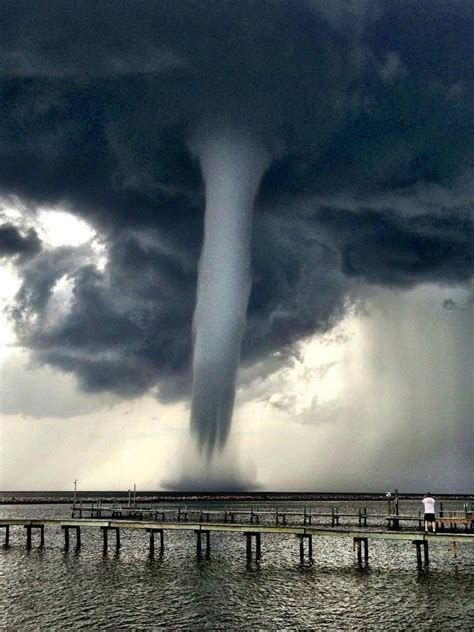 The Water Tornado: An Enigmatic Phenomenon