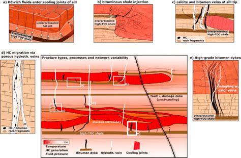 The psychological interpretation: Revealing the underlying implications of fractured pathways