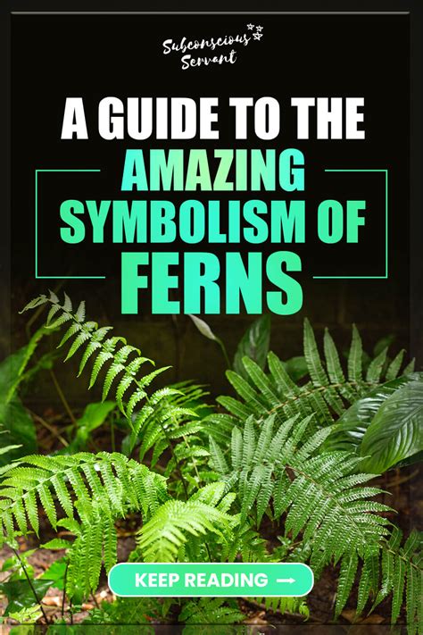 The symbolic representation of ferns in the realm of dreams