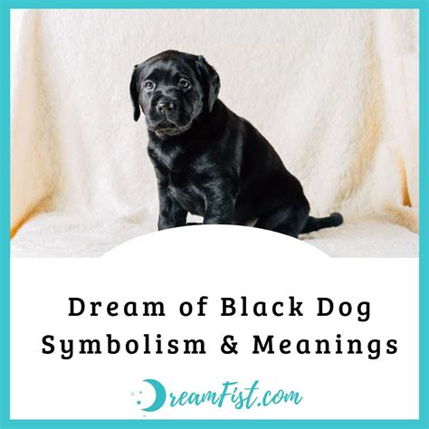 The symbolism of embracing an ebony canine in dreams