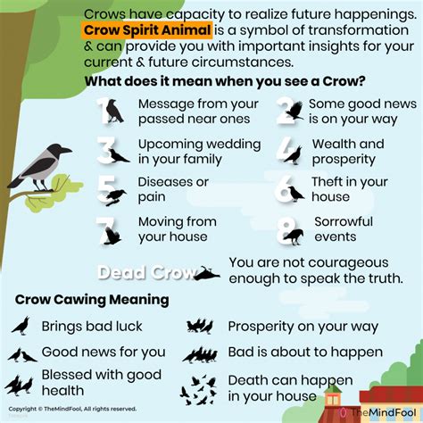 Tips and Tricks for Decoding the Symbolic Language of Crows' Footprints in Your Nightly Visions