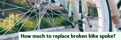 Tips for Analyzing Your Personal Dream of a Fractured Bike Spoke