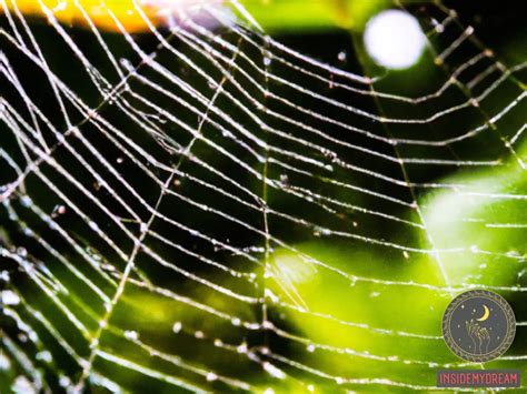 Tips for Coping with and Understanding Spider Dream Symbolism