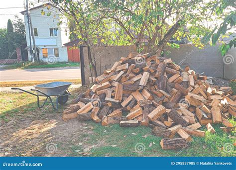 Tips for Efficiently Procuring Firewood