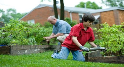 Tips for Efficiently Tidying Up Your Outdoor Area