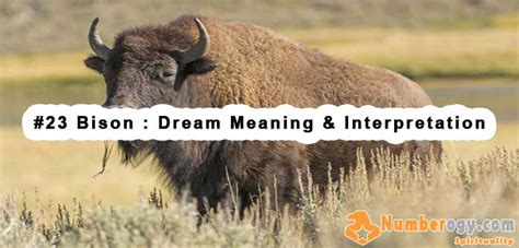 Tips for Embracing and Learning from Bison Dreams