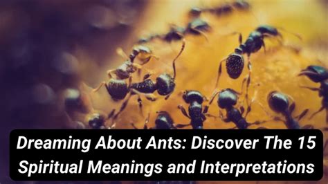 Tips for Embracing the Guidance and Wisdom Presented by Dreams Involving Ants in Your Residence