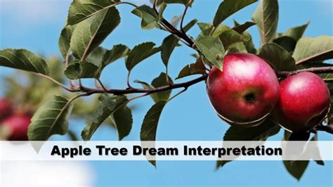 Tips for Interpreting Personal Meanings in Dreams about Biting Apples