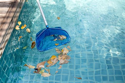 Tips for Maintaining and Skimming the Surface of Your Swimming Pool