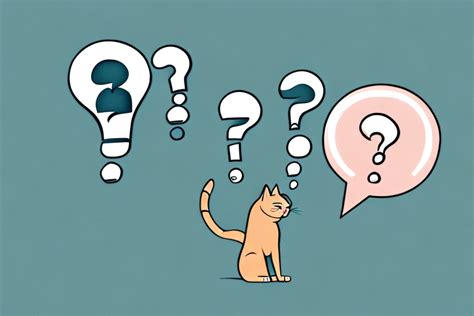 Tips for Pet Owners: Understanding and Responding to a Barking Cat Dream