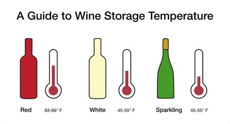 Tips for Properly Storing and Serving White Wine to Enhance Your Tasting Experience