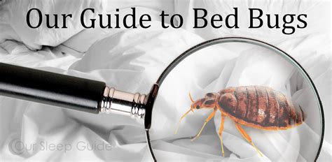 Tips for a Serene Slumber: Coping with Pesky Bed Bugs