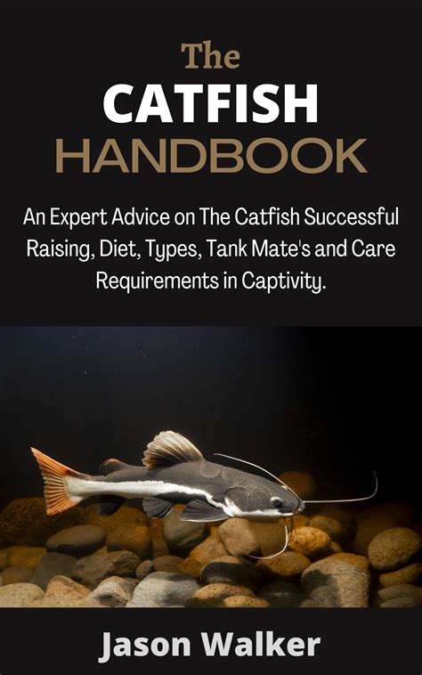 Tips from the Catfish Experts