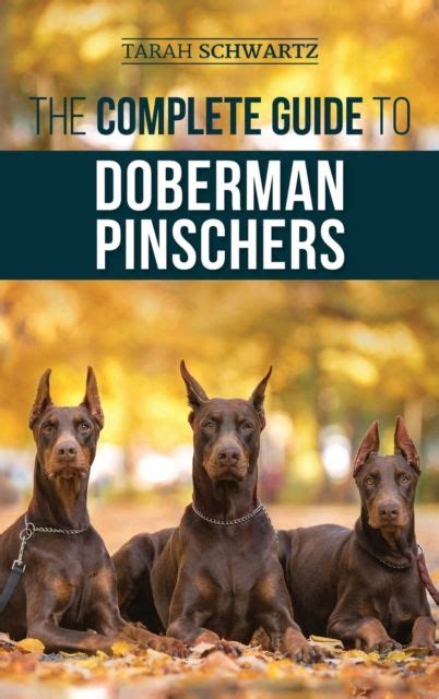 Training and Socializing Your Doberman