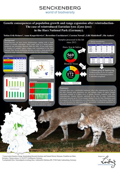 Transformative Potential: Discovering Peace and Growth after the Lynx Encounter