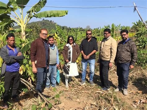 Transforming Communities through Cassava Cultivation