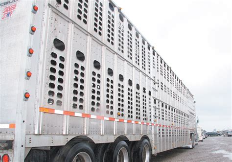 Transforming Dreams into Reality: The Process of Livestock Transportation