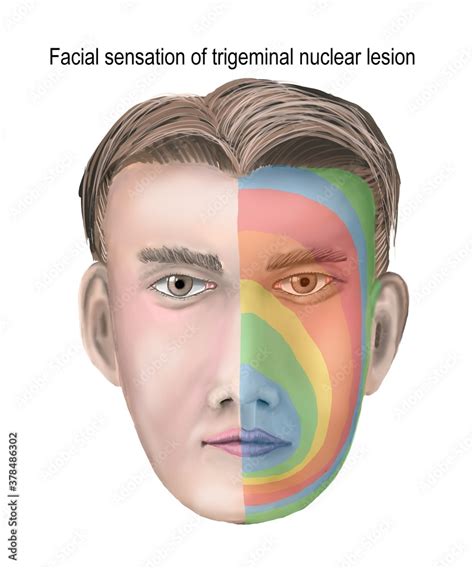 Treating and Managing Facial Sensation Loss: Medical Interventions and Home Remedies