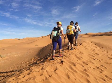 Trekking the Captivating Desert Surroundings