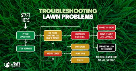 Troubleshooting Garden Problems: Overcoming Common Hurdles