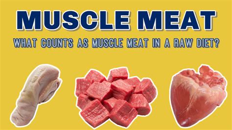 Turkey Meat for Building Muscles: Enhancing Your Fitness Journey