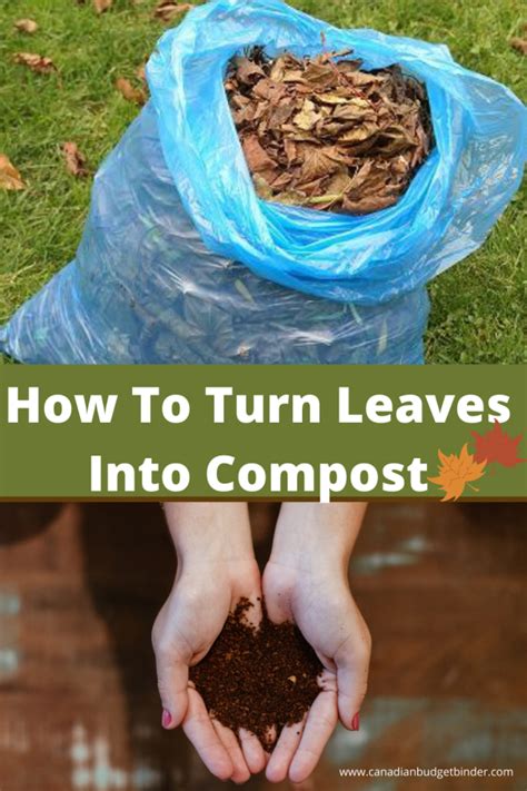 Turning Leaves into Nutritious Compost