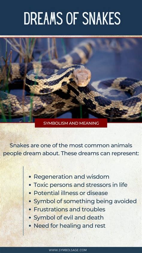 Types of Serpent Dreams and Their Interpretations