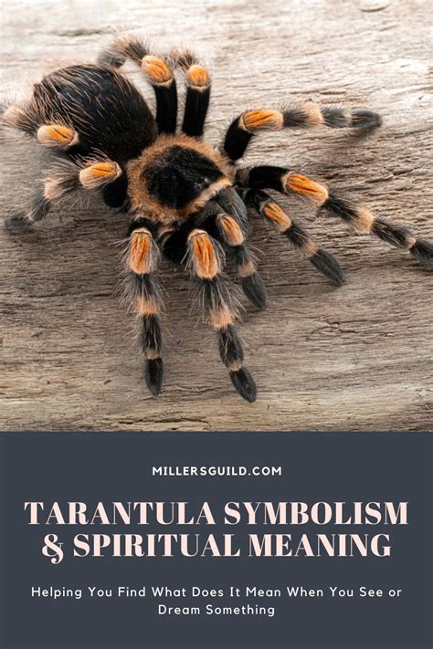 Unconscious Desires: Delving into the Sensual Symbolism of Tarantulas